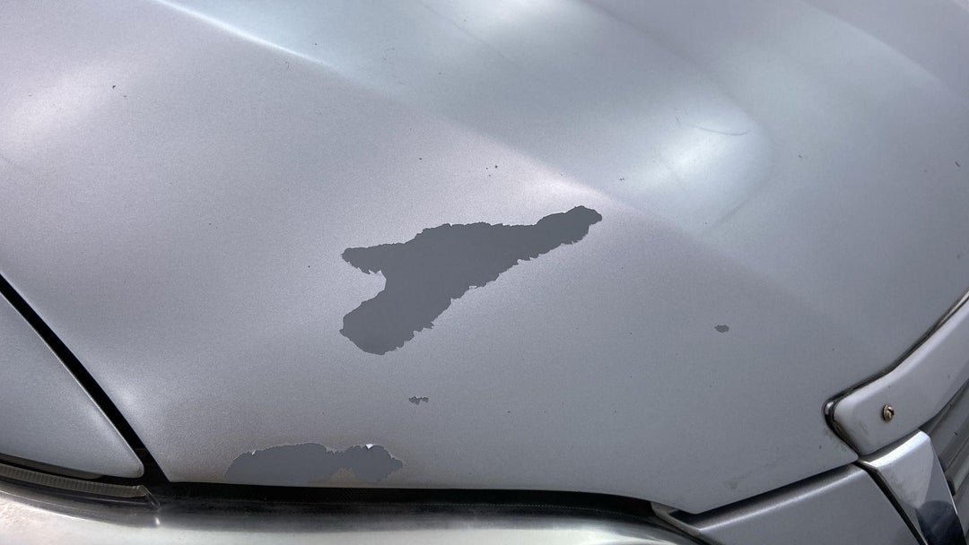 Hood Cracked Paint (Medium Damage)