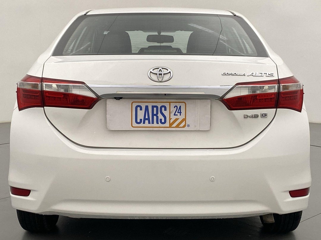 BACK / REAR VIEW